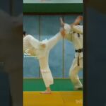 El Karate como herramienta para la defensa personal