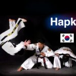 El papel del Ki en el Hapkido