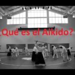 La importancia de la constancia y la dedicacion en la practica del Aikido
