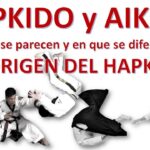 La relacion entre el Hapkido y otras artes marciales