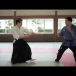 Las diferencias entre el Aikido y el Jiu Jitsu tecnicas y enfoque