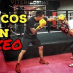 Las tecnicas de boxeo para enfrentarte a un oponente mas bajo que tu como adaptarte a su altura