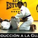 Tecnicas fundamentales del Jiu Jitsu Posiciones basicas y transiciones