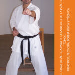 aprende el arte del karate tecnica y practica