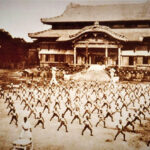descubre la fascinante historia del karate de okinawa al mundo