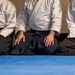 descubre que es el aikido y por que puede ser util para ti
