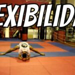 La importancia de la flexibilidad en el kickboxing ejercicios de estiramiento esenciales
