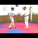 La tecnica de proyeccion en el Hapkido