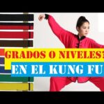 Los diferentes rangos y grados en el Kung Fu