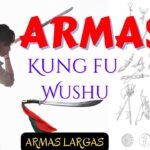 Los diferentes tipos de armas utilizadas en el Kung Fu