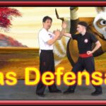Los diferentes tipos de bloqueos en el Kung Fu