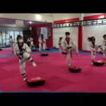 Entrenamiento fisico en el Taekwondo Ejercicios y rutinas