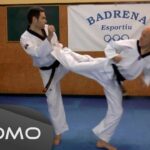 Taekwondo y el control de la agresividad Tecnicas de contencion