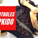 Tecnicas avanzadas de Hapkido Control y sumision de oponentes
