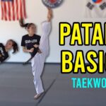 Tecnicas basicas de Taekwondo Patadas y golpes